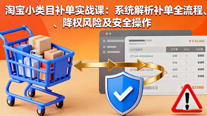 淘宝小类目补单实战课：系统解析补单全流程、降权风险及安全操作-藏宝阁