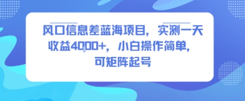 风口信息差蓝海项目，实测一天收益4k+，小白操作简单，可矩阵起号-藏宝阁