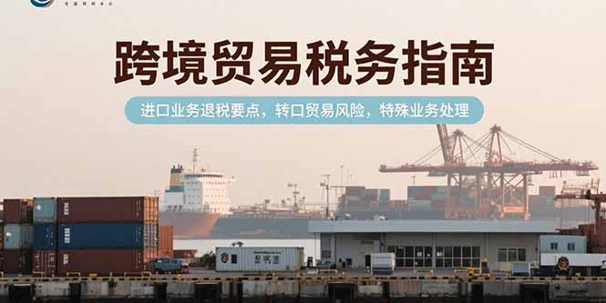 跨境贸易税务指南，进口业务退税要点，转口贸易风险，特殊业务处理-藏宝阁
