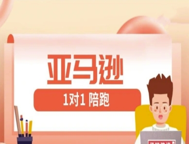 亚马逊1对1陪跑课(FBA/FBM精铺)跨境亚马逊教程-藏宝阁