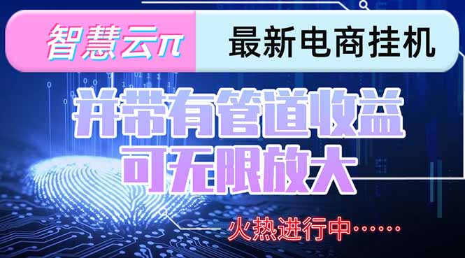 智慧云π电脑挂机单机每天收益300—500+ 并带有团队管道收益 可无限放大-藏宝阁