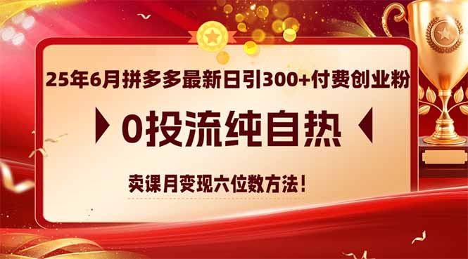 25年6月拼多多最新日引300+付费创业粉，0投流纯自热 卖课月变现六位数方法-藏宝阁