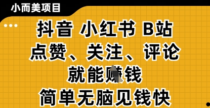 小而美的项目，抖音小红书B站视频点赞、关注、评论就能挣钱，简单无脑立见收益，妥妥的零撸项目【揭秘】-藏宝阁