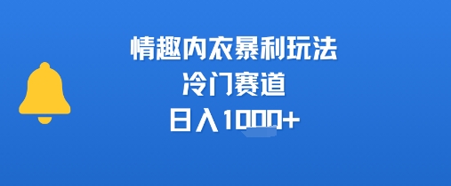 情趣内衣暴利玩法，冷门赛道，日入1k+-藏宝阁