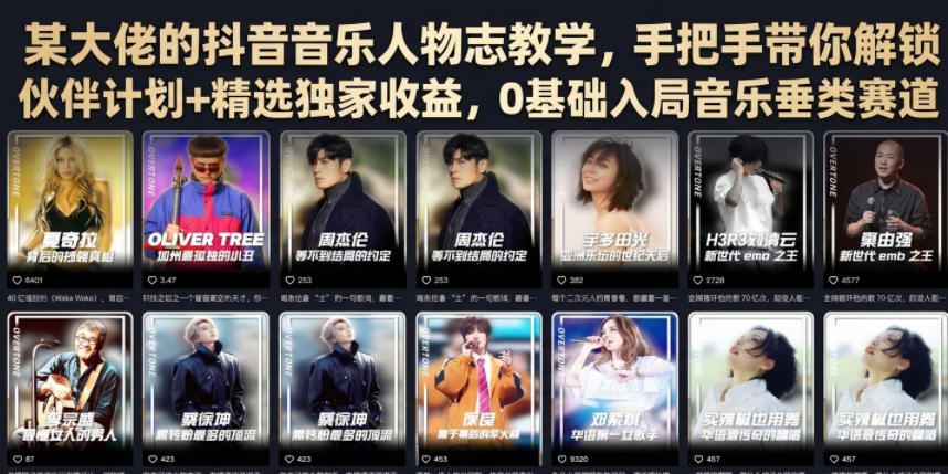 某大佬的抖音音乐人物志教学，手把手带你解锁伙伴计划+精选独家收益，0基础入局音乐垂类赛道-藏宝阁