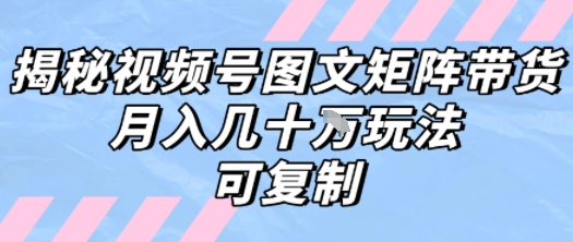 解密视频号图文矩阵带货，月入几个W的打法，可复制-藏宝阁