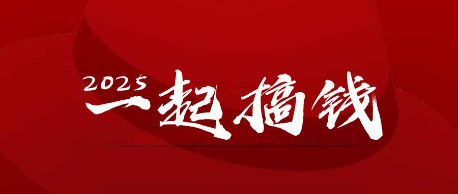 2025年，请“不择手段”去搞钱!-藏宝阁