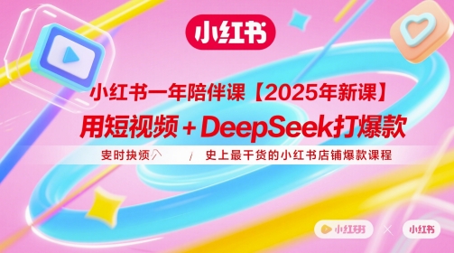 小红书一年陪伴课【2025年新课】，用短视频+deepSeek打爆款，史上最干货的小红书店铺爆款课程-藏宝阁