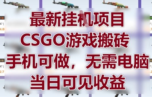 最新挂G项目，CSGO游戏搬砖，手机可做，无需电脑，当日见收益【揭秘】-藏宝阁
