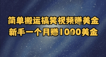 简单搬运搞笑视频挣美金，新手一个月入1k美金-藏宝阁