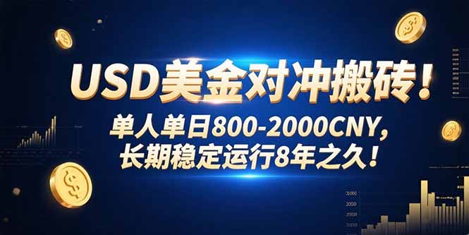 USD美金对冲搬砖!单人单日800-2000CNY，长期稳定运行8年之久!-藏宝阁